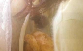 更新来了！718.sx带你穿越法则，瓜田里撒个野