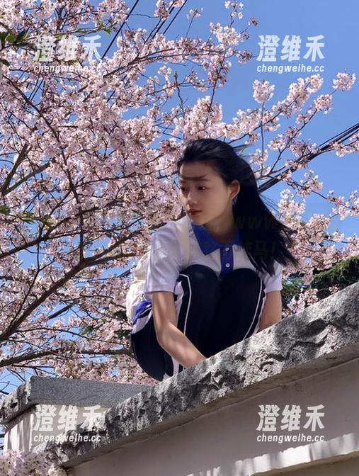 剧情逆转太猛，www.hl155.ccm帮你永不迷路再挂马！