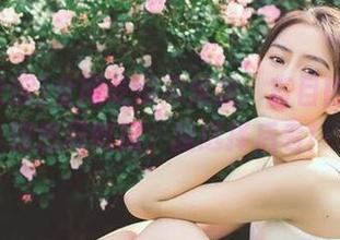 全网吃瓜苹果版：盲目的追星不如悠闲吃瓜，我选择后者！