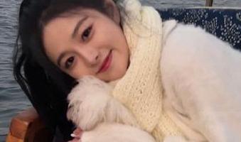 免费吃瓜新风潮，吃瓜网app带你体验瓜田奇遇！