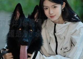 你说黑料不打烊永久域名更新，难道是为了永恒的八卦之力吗？