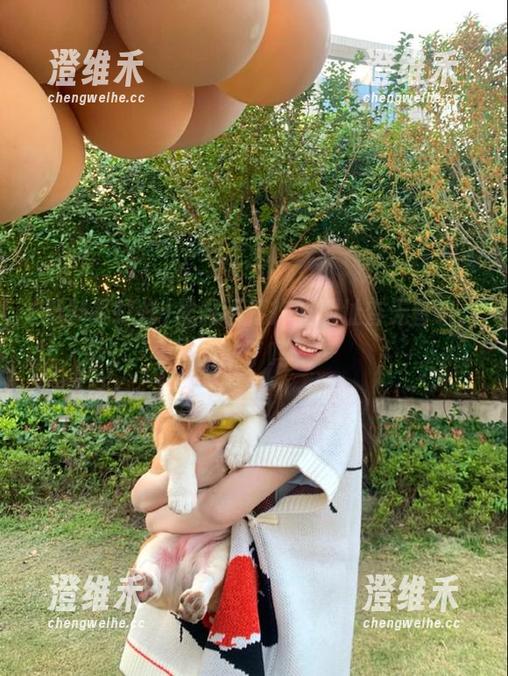 黑料不打烊的地址杳无音讯，断航了吗？