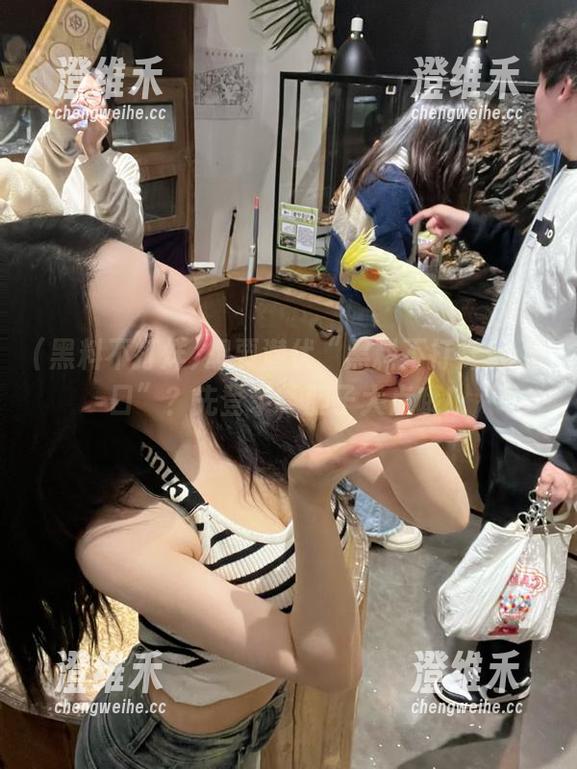 想要潜伏“黑料不打烊so入口”？先登录，胆子大点哦！