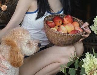 看视频就看黑料不打烊的爆料，你值得拥有！