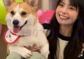 一登录黑料吃瓜不打烊，我就被“网曝门”震惊到，啥情况？