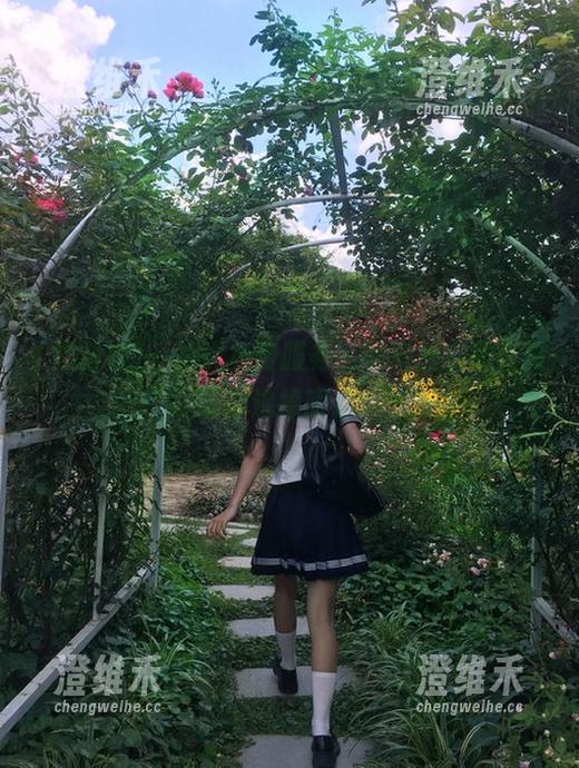 一站式免费服务，黑料社在线直接让你追掉眼泪！