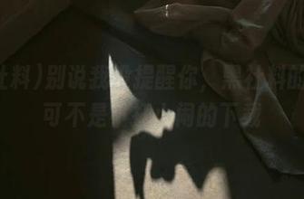 别说我没提醒你，黑社料的线路可不是小打小闹的下载