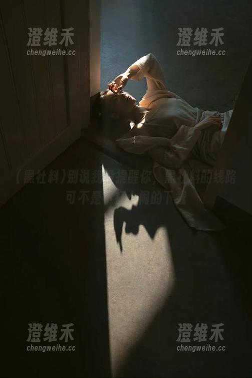 别说我没提醒你，黑社料的线路可不是小打小闹的下载