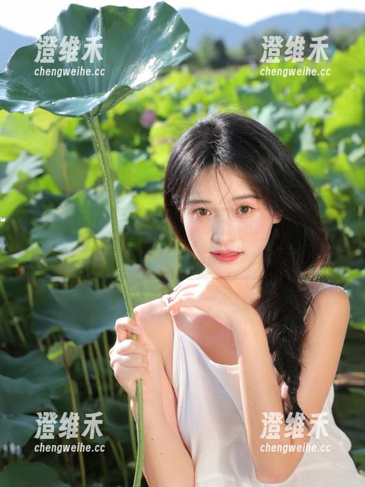 黑网料的入口又冒出新料，这次的更新我只能用“绝了”来形容